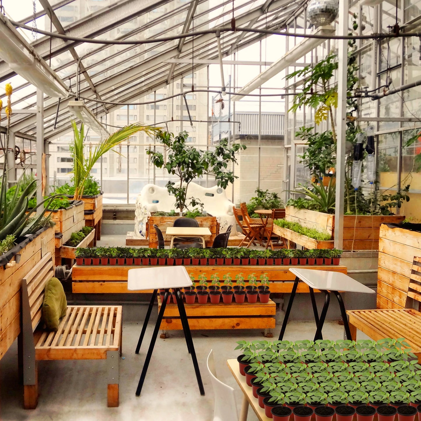Plant Nursery Pots with Humidity Domes,40 Sets 4 Inch Soft Nursery Pots (40 Pots + 40 Clear Lids), Seed Starter Pots Small Plant