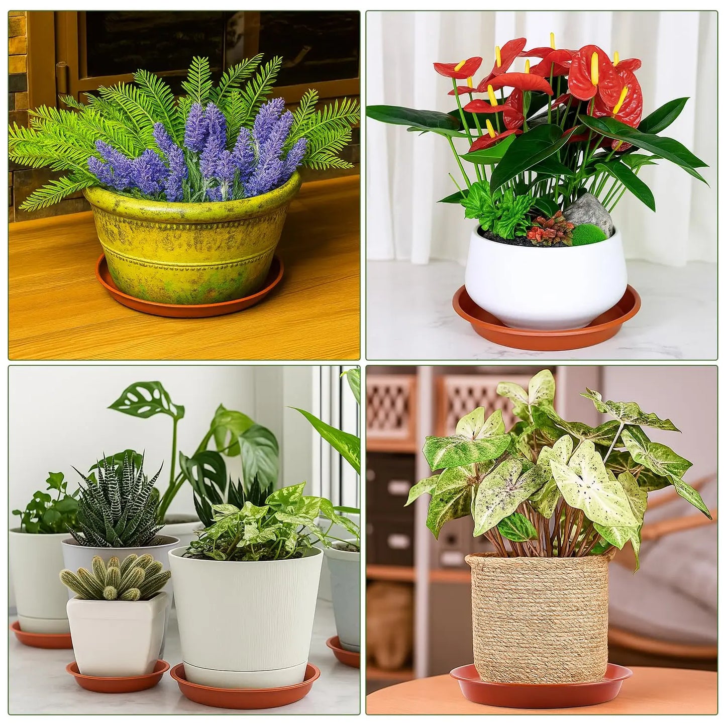 12 Pack Plant Pot Saucers – 4 Sizes (18/22/24/26cm) Plastic Drip Trays, Durable for Indoor/Outdoor Garden Plant Pots
