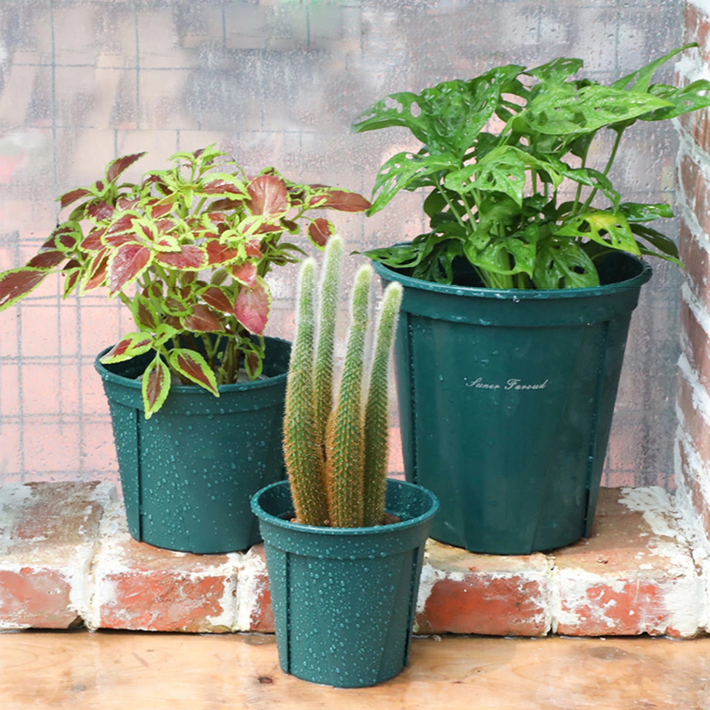 Root Control Planting Pots Home Garden Balcony Seedling Nursery Pot Office House Decoration Bonsai Container Transplant Pot 10Pc