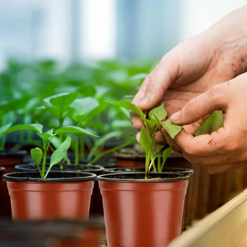 100/20x Plastic Plant Nursery Pots Outdoor Flexible Garden Flowers Plants Seedling Pot Planting Basin Seedling Cups Supplies