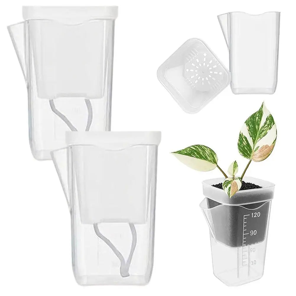 Self Watering Plant Pots Mini Seedlings Pots Flowerpot Translucent Plastic Planters Plant Propagation Pot With Reservoir ﻿
