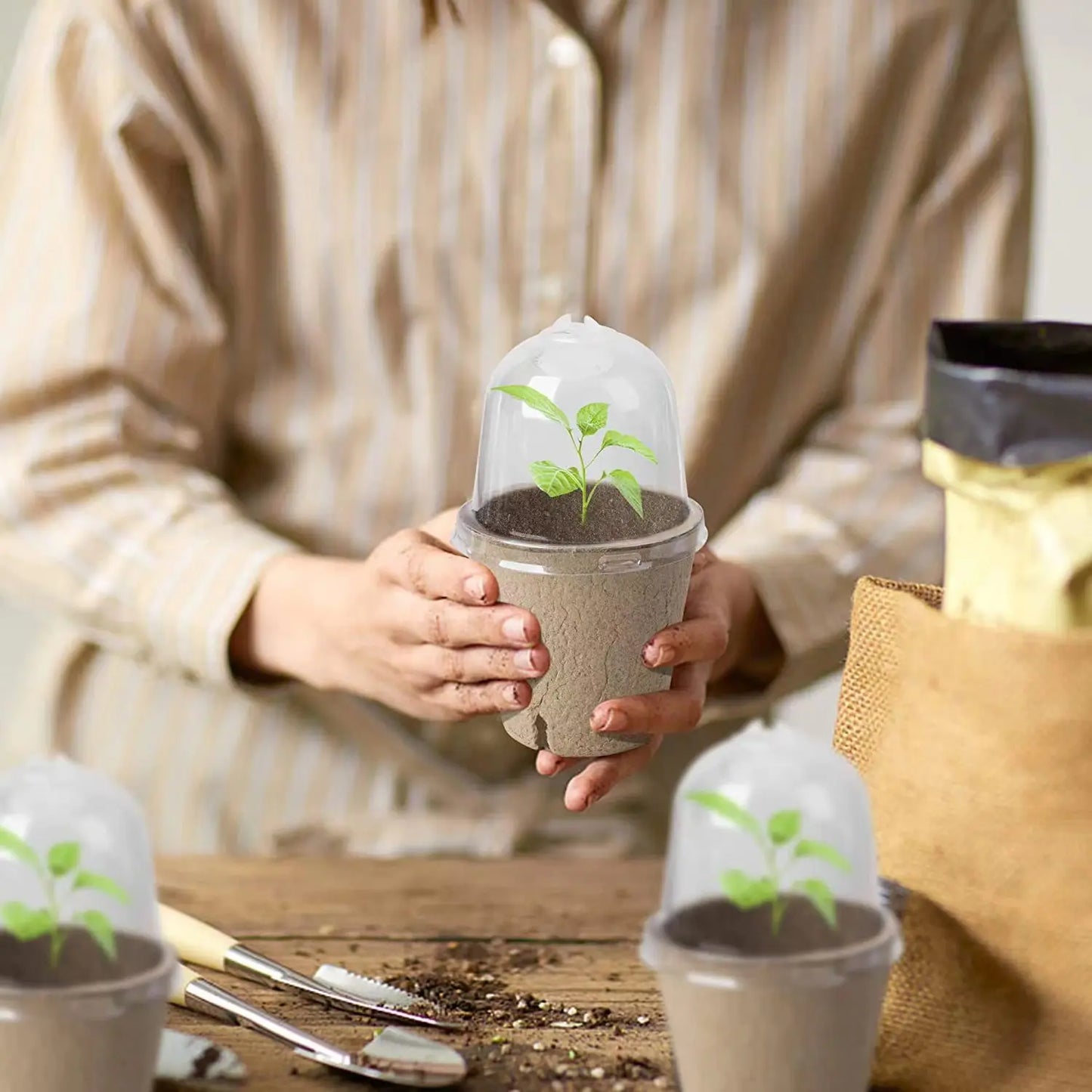 Seed Starter Biodegradable peat POTS, seedling planting POTS with 1/610 labels, plant POTS with humidity domes