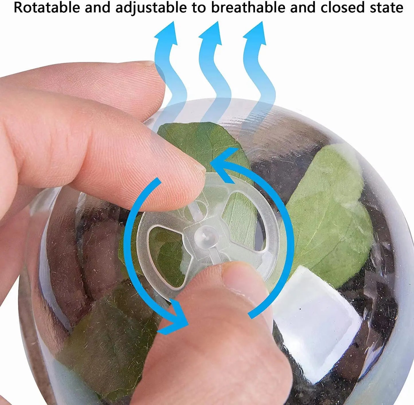 Seed Starter Biodegradable peat POTS, seedling planting POTS with 1/610 labels, plant POTS with humidity domes