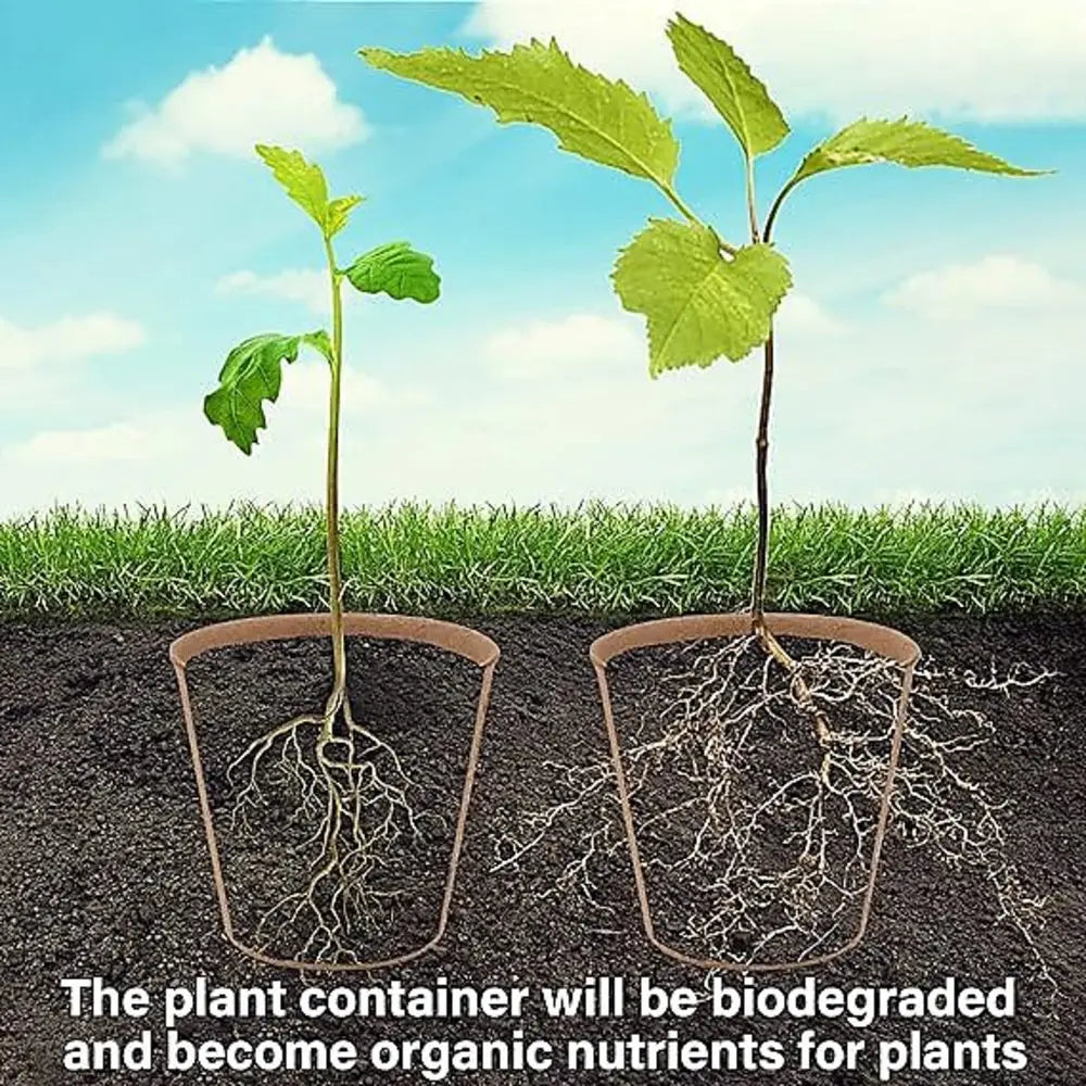 Seed Starter Biodegradable peat POTS, seedling planting POTS with 1/610 labels, plant POTS with humidity domes