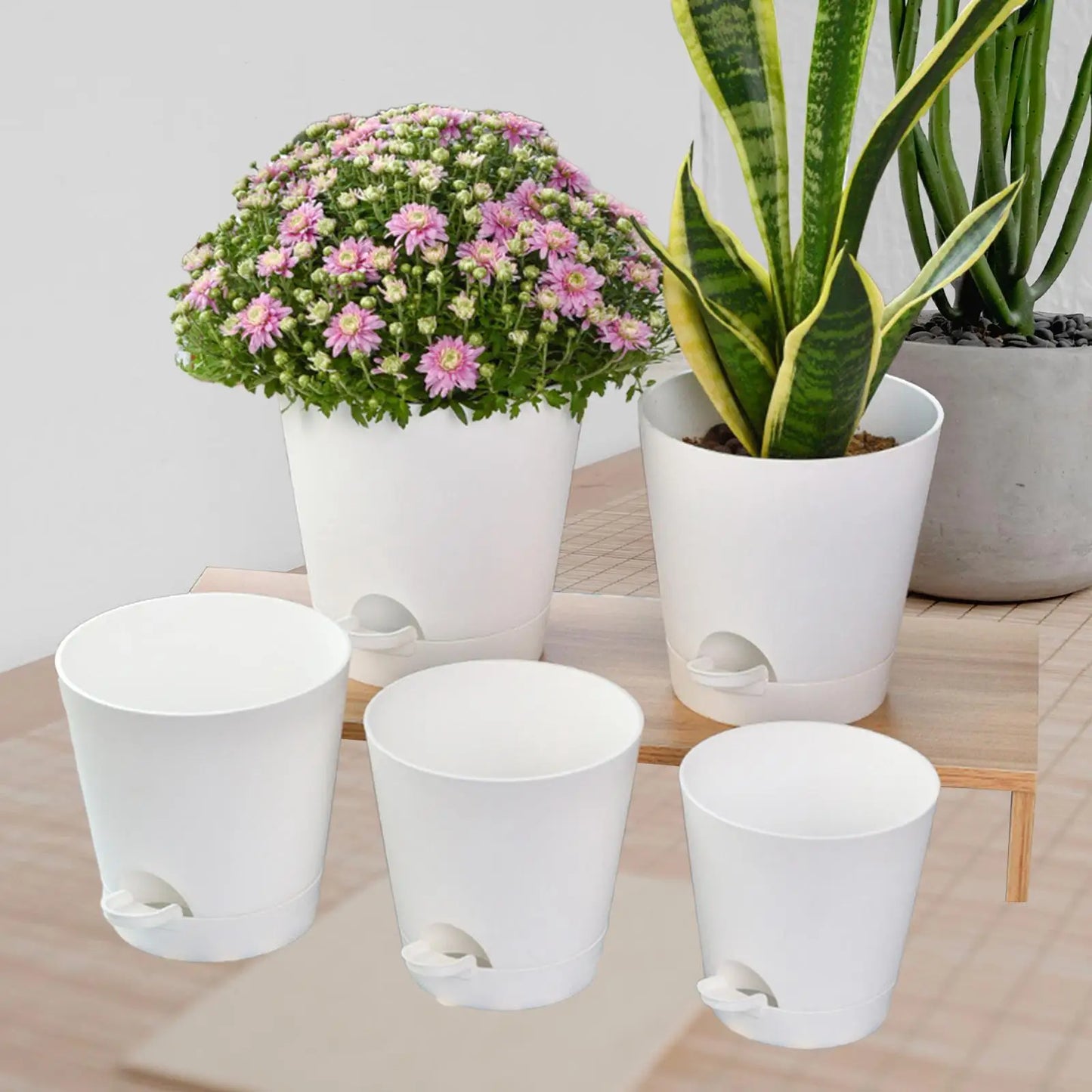 5Pcs Self Watering Planters,Lazy People Nursery Planting Pot ,Round Flower Pots Plant Pots for Home Houseplants Gardens Decor