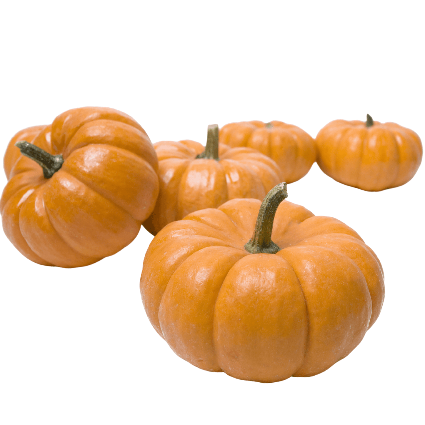 Pumpkin Seeds